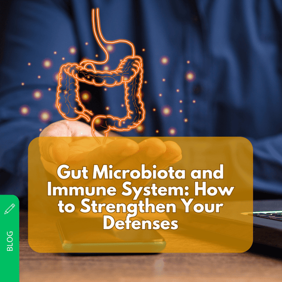 Gut Microbiota and the Immune System: How to Balance It to Strengthen Your Defenses